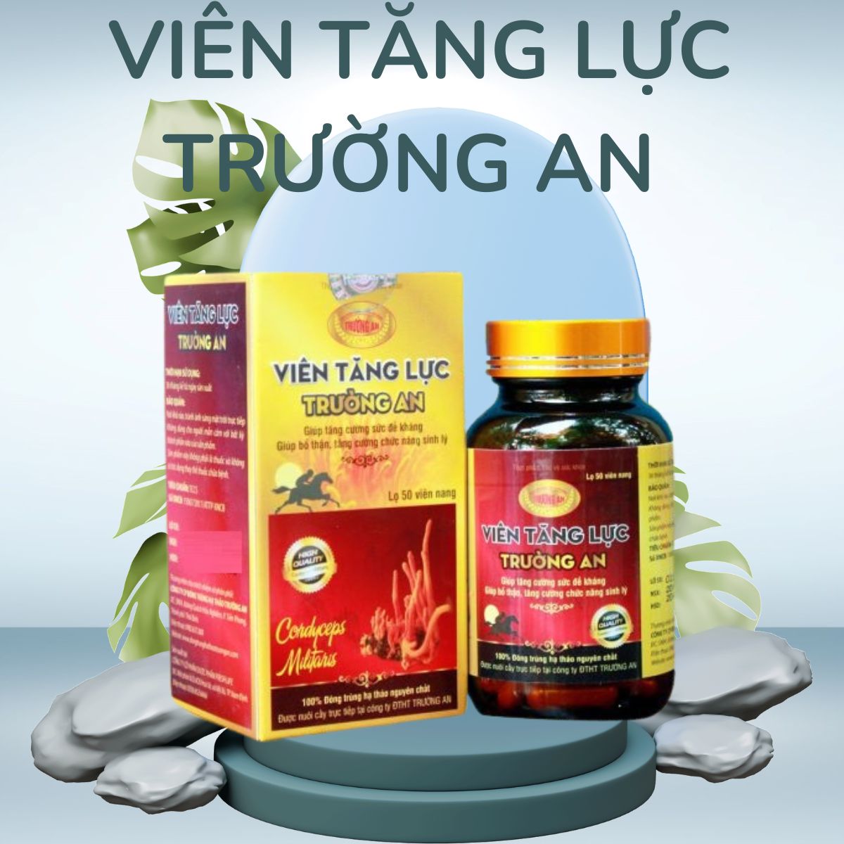 Viên Tăng Lực Trường An hỗ trợ nâng cao sức khỏe, tăng cường sức đề kháng