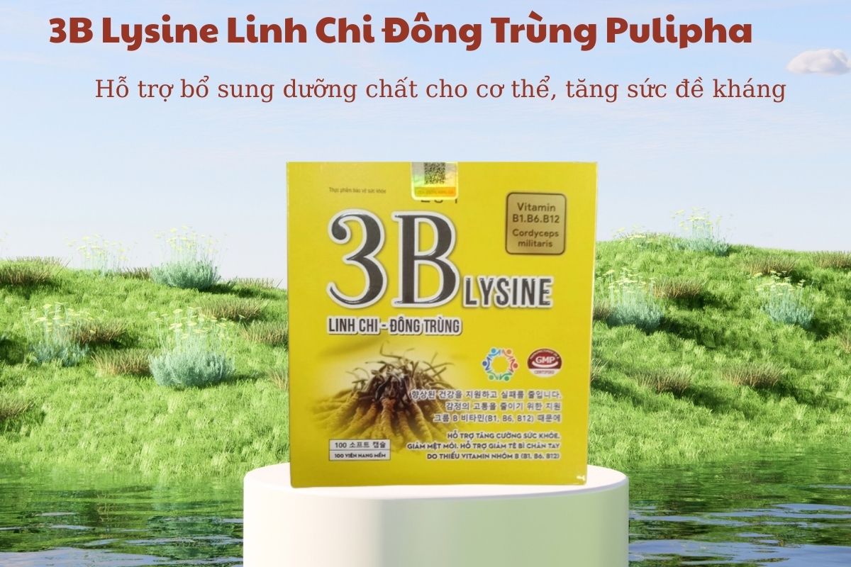 3B Lysine Linh Chi Đông Trùng Pulipha 6 3B Lysine Linh Chi Đông Trùng Pulipha