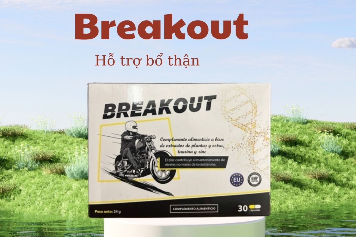Breakout 6 Breakout