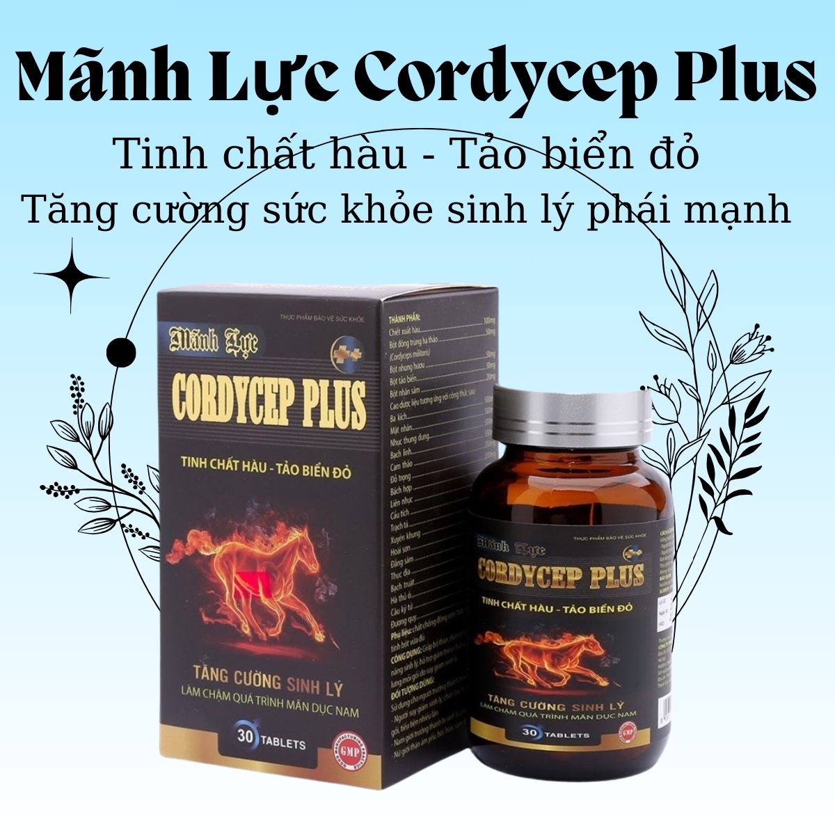 Mãnh Lực Cordycep Plus 9 Mãnh Lực Cordycep Plus hỗ trợ tăng cường sức khỏe