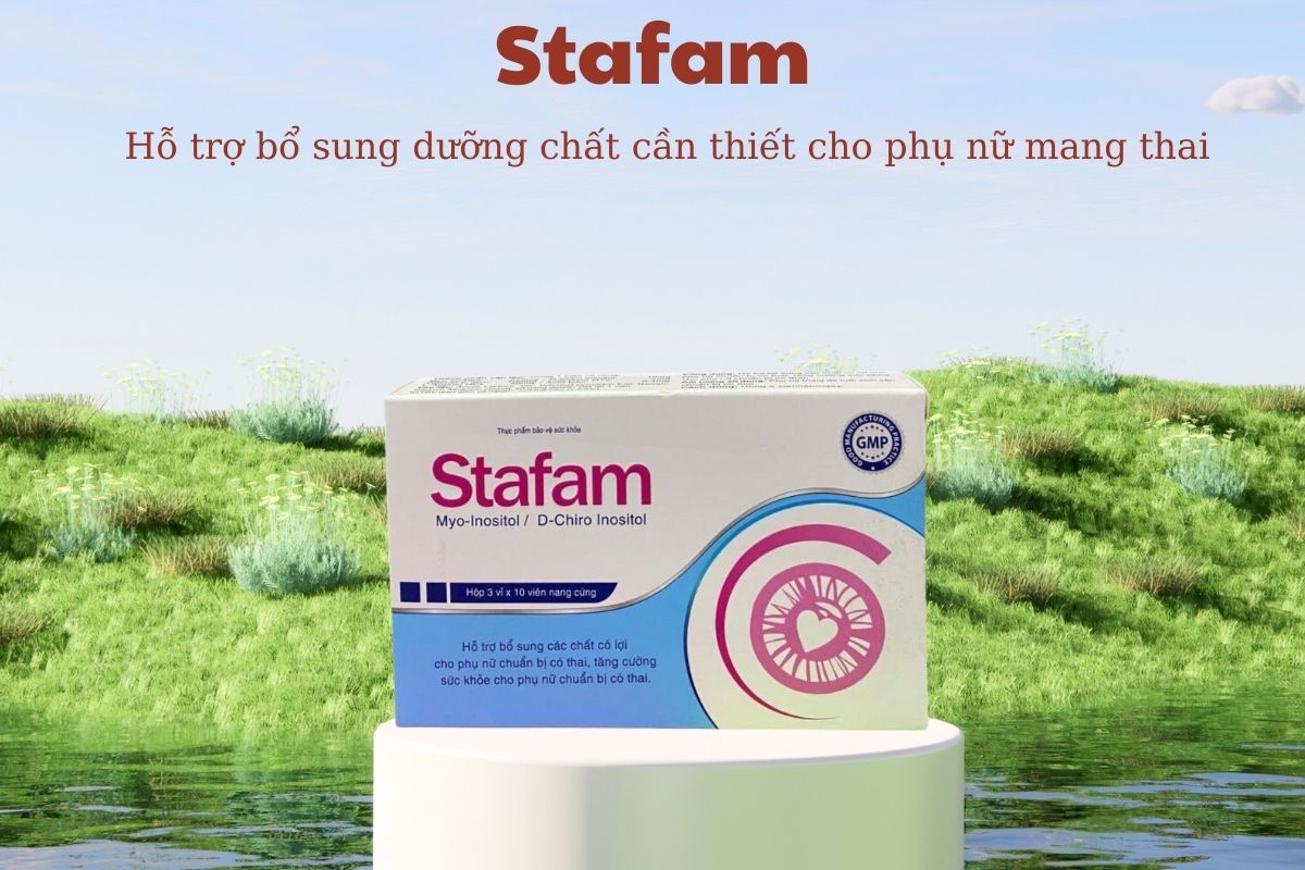 Stafam 12 Stafam