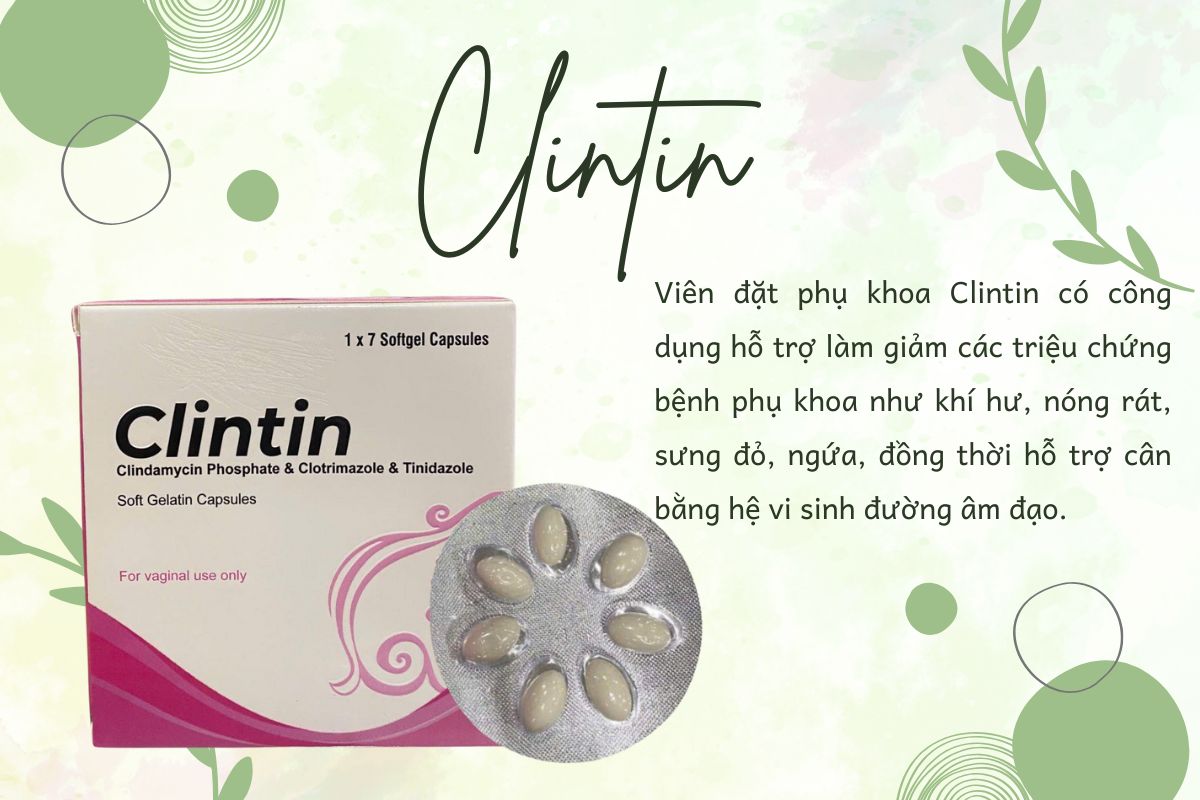 Viên đặt âm đạo Clintin 14 Viên đặt âm đạo Clintin cải thiện triệu chứng bệnh phụ khoa