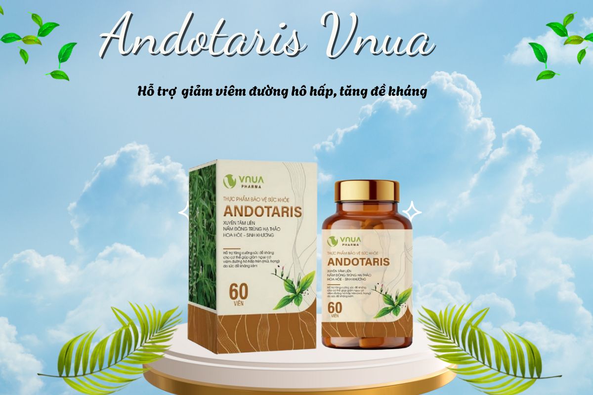 Andotaris Vnua 8 Andotaris Vnua