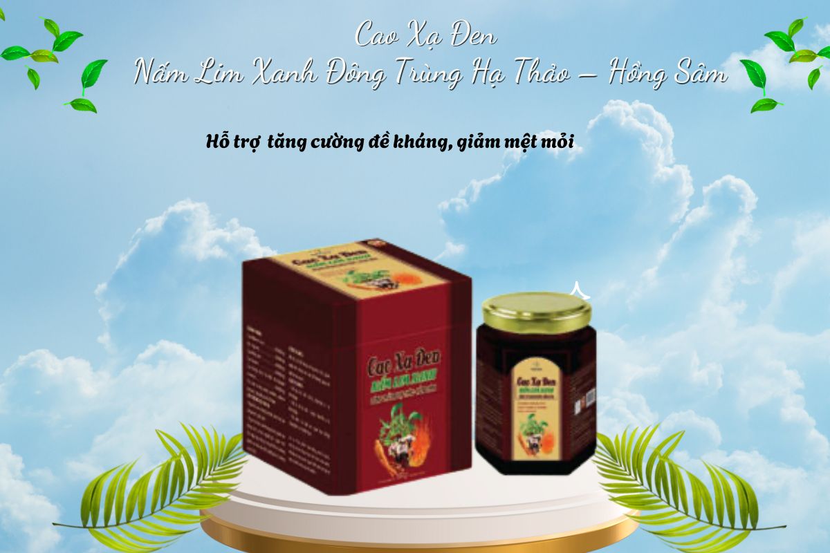 Cao Xạ Đen Nấm Lim Xanh Đông Trùng Hạ Thảo – Hồng Sâm 7 Cao Xạ Đen Nấm Lim Xanh Đông Trùng Hạ Thảo – Hồng Sâm