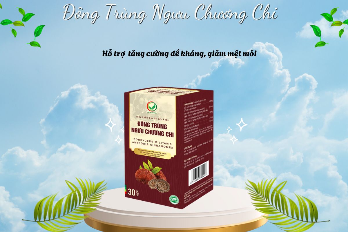 Đông Trùng Ngưu Chương Chi