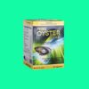 Fezes Oyster Gold
