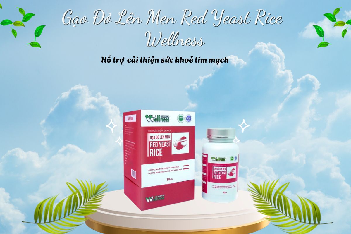 Gạo Đỏ Lên Men Red Yeast Rice Wellness 7 Gạo Đỏ Lên Men Red Yeast Rice Wellness