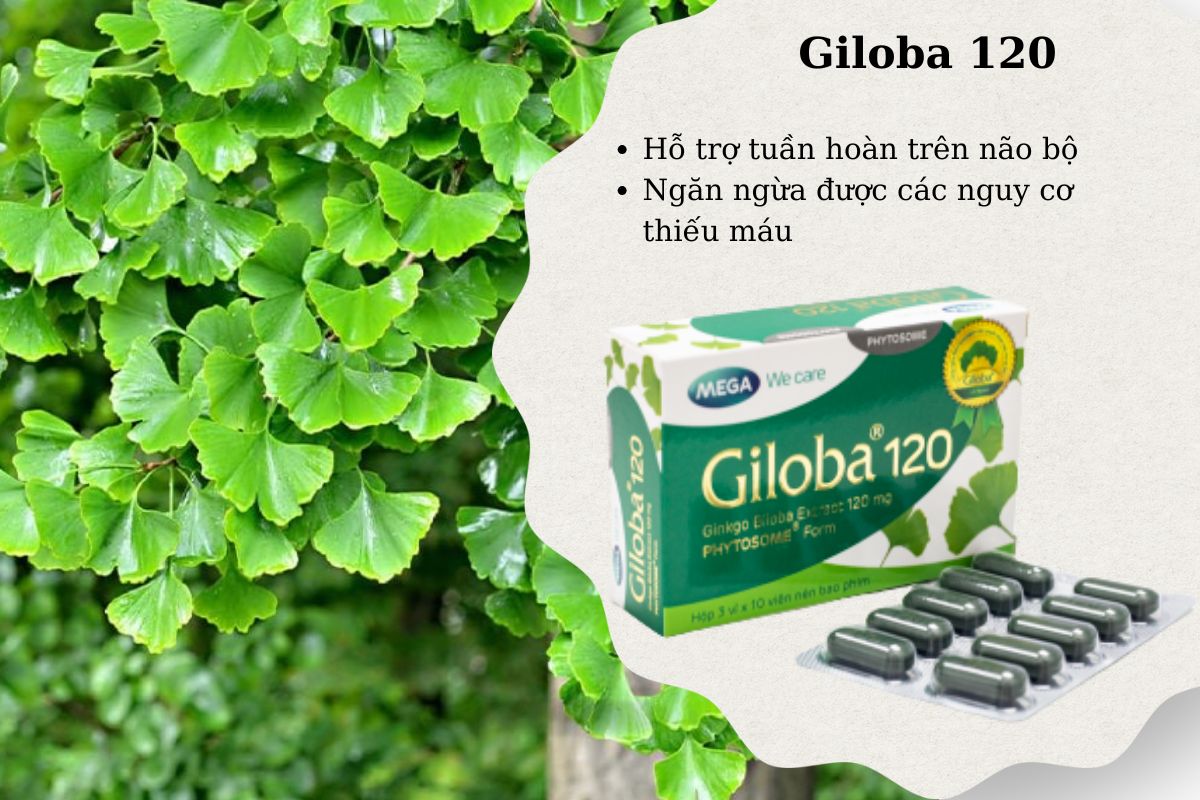 Giloba 120 12 Tác dụng của Giloba 120