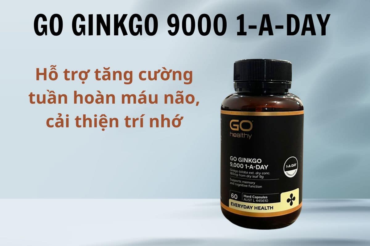 Go Ginkgo 9000 1-A-Day hỗ trợ tăng cường tuần hoàn não
