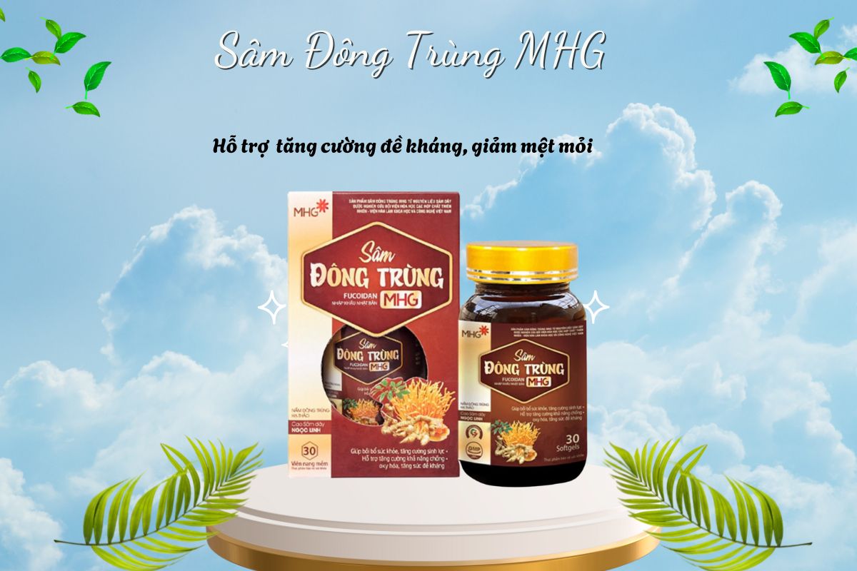 Sâm Đông Trùng MHG 7 Sâm Đông Trùng MHG