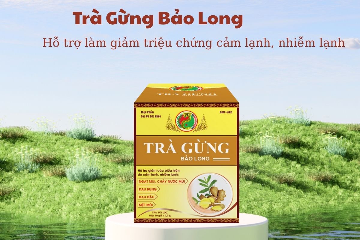 Trà Gừng Bảo Long 8 Trà Gừng Bảo Long