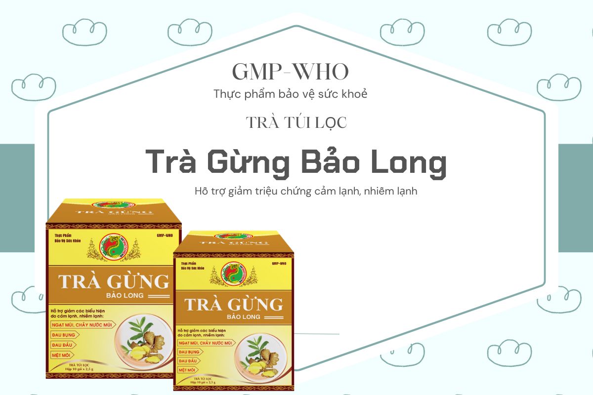 Trà Gừng Bảo Long 8 Trà Gừng Bảo Long