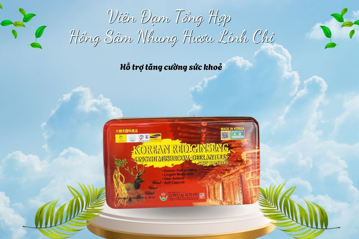 Viên Đạm Tổng Hợp Hồng Sâm Nhung Hươu Linh Chi 10 Viên Đạm Tổng Hợp Hồng Sâm Nhung Hươu Linh Chi