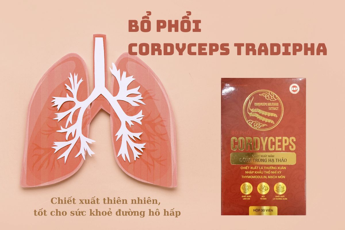 Bổ phổi Cordyceps Tradipha 10 Bổ phổi Cordyceps Tradipha