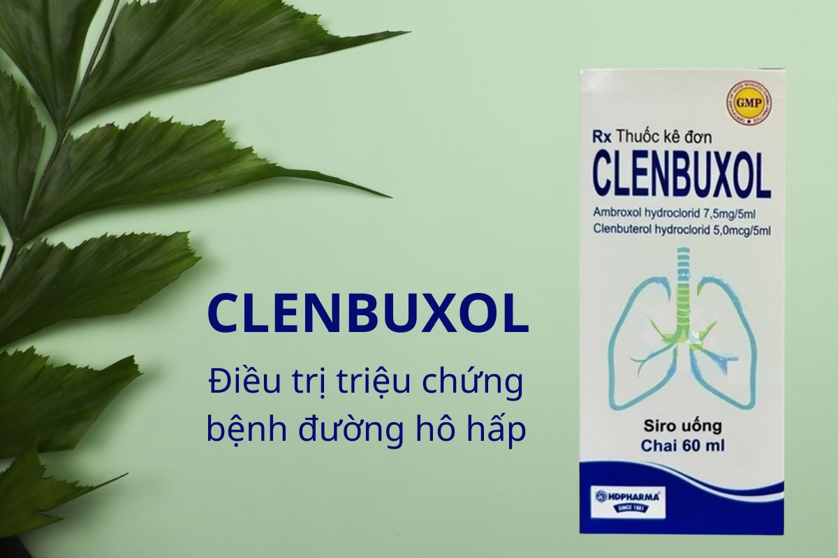 Clenbuxol 4 Clenbuxol điều trị triệu chứng bệnh đường hô hấp
