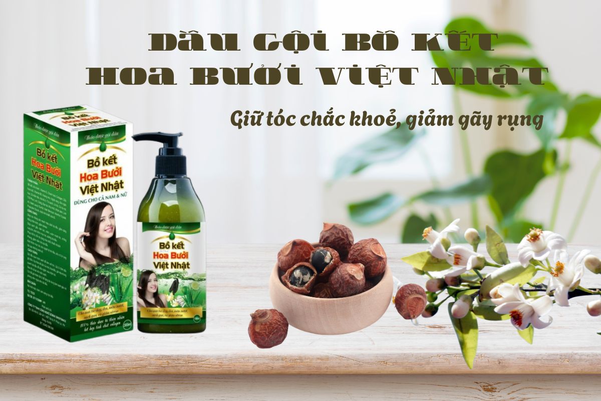 Dầu gội Bồ Kết Hoa Bưởi Việt Nhật 8 Dầu gội Bồ Kết Hoa Bưởi Việt Nhật