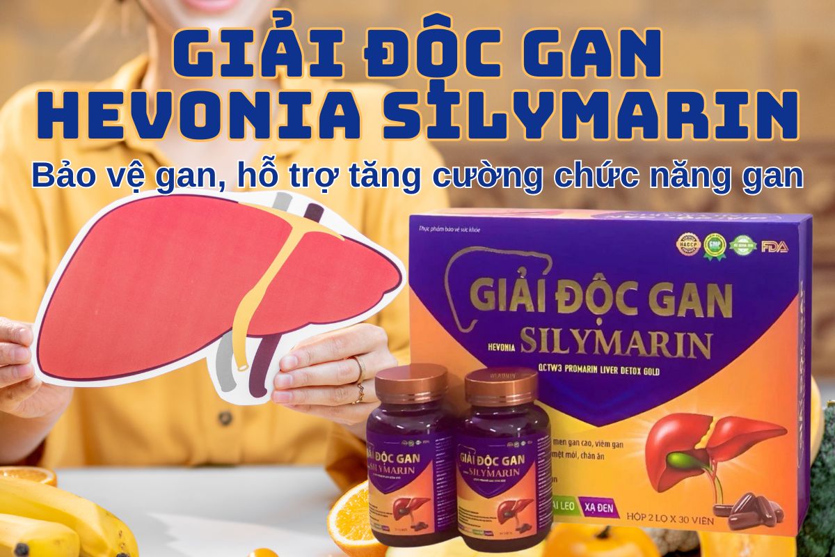 Giải độc gan Hevonia Silymarin 11 Giải độc gan Hevonia Silymarin