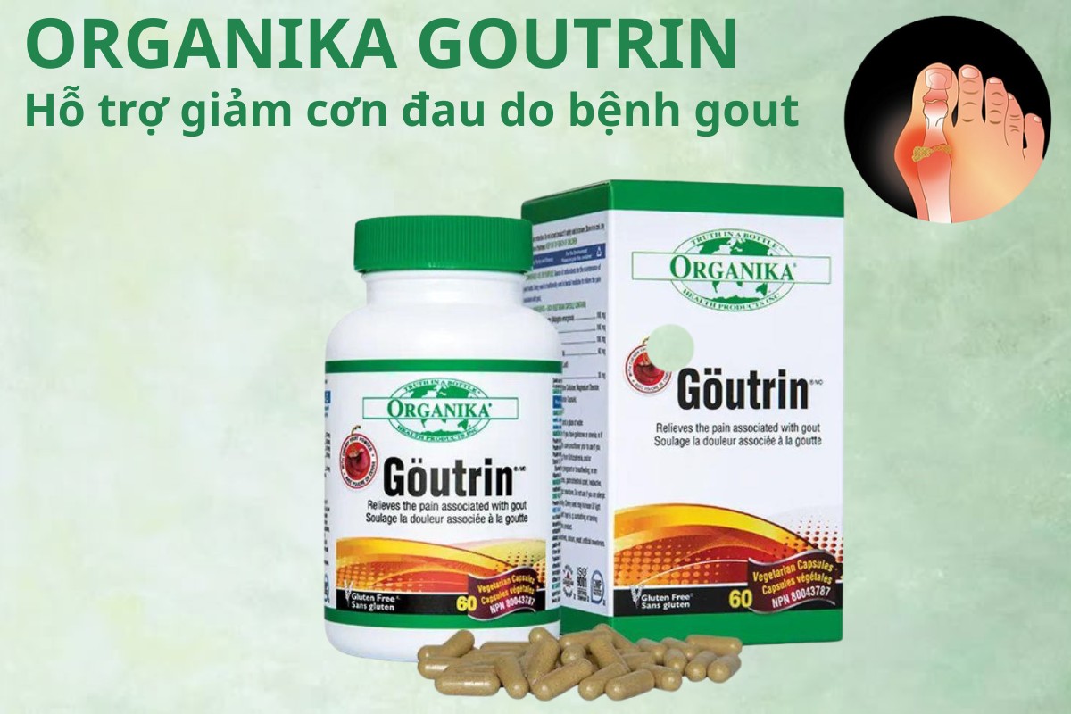 Organika Goutrin 9 Organika Goutrin hỗ trợ giảm cơn đau do bệnh gout