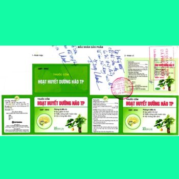 Hoạt huyết dưỡng não TP