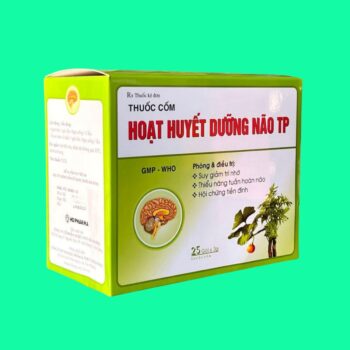 Hoạt huyết dưỡng não TP