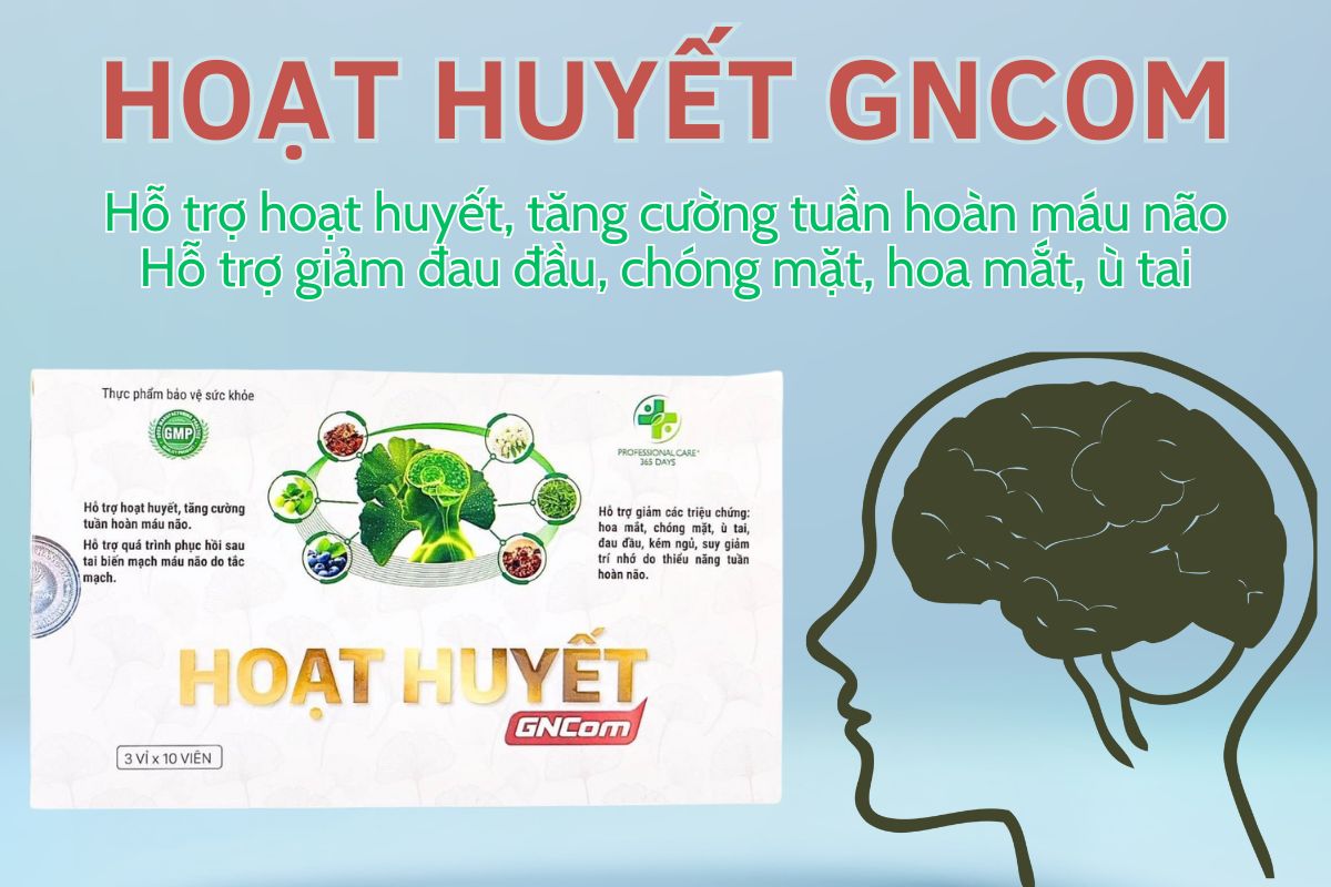 Hoạt huyết GNCom 9 Hoạt huyết GNCom