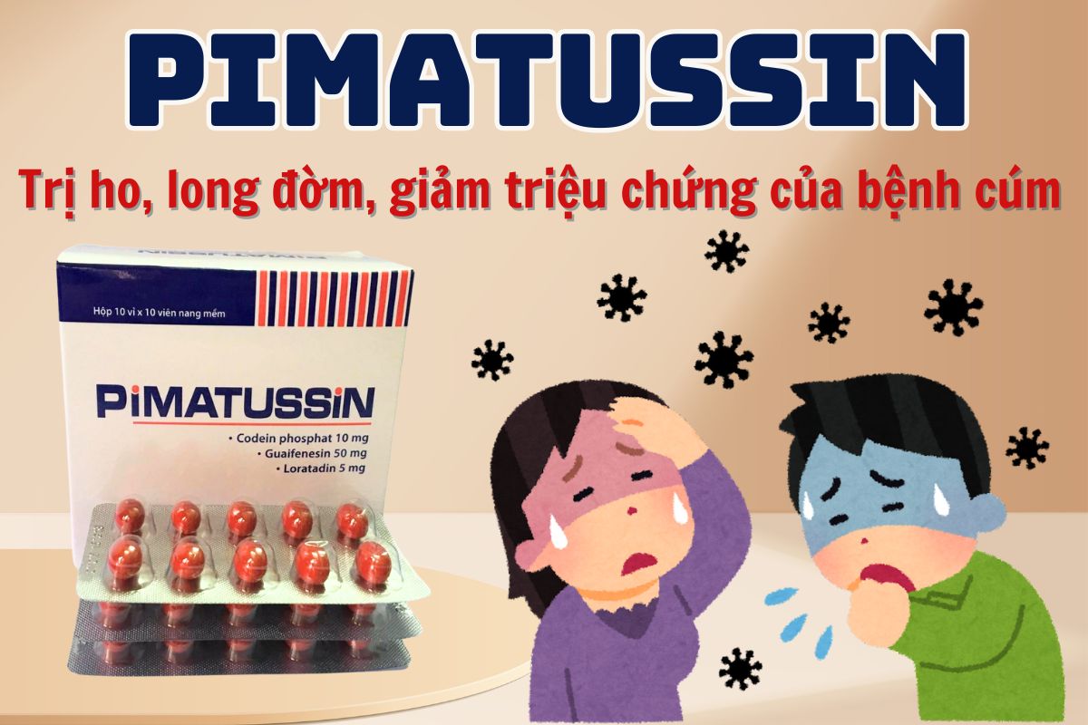 Pimatussin 12 Pimatussin