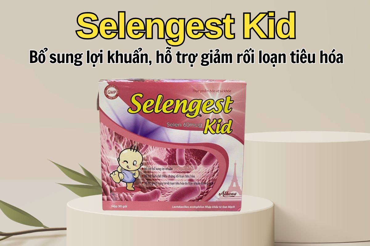 Selengest Kid 11 Selengest Kid
