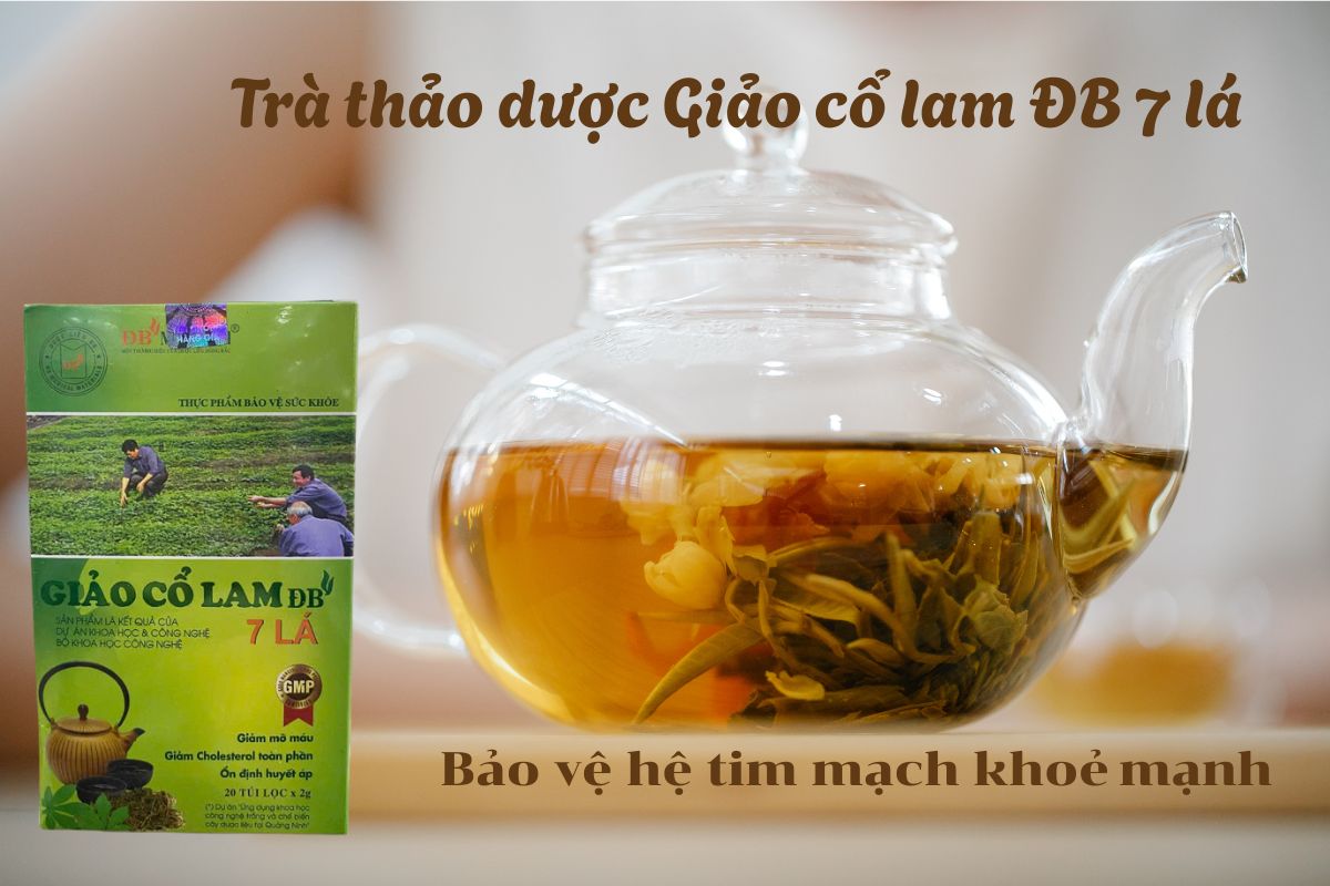 Trà thảo dược Giảo cổ lam ĐB 7 lá 8 Trà thảo dược Giảo cổ lam ĐB 7 lá