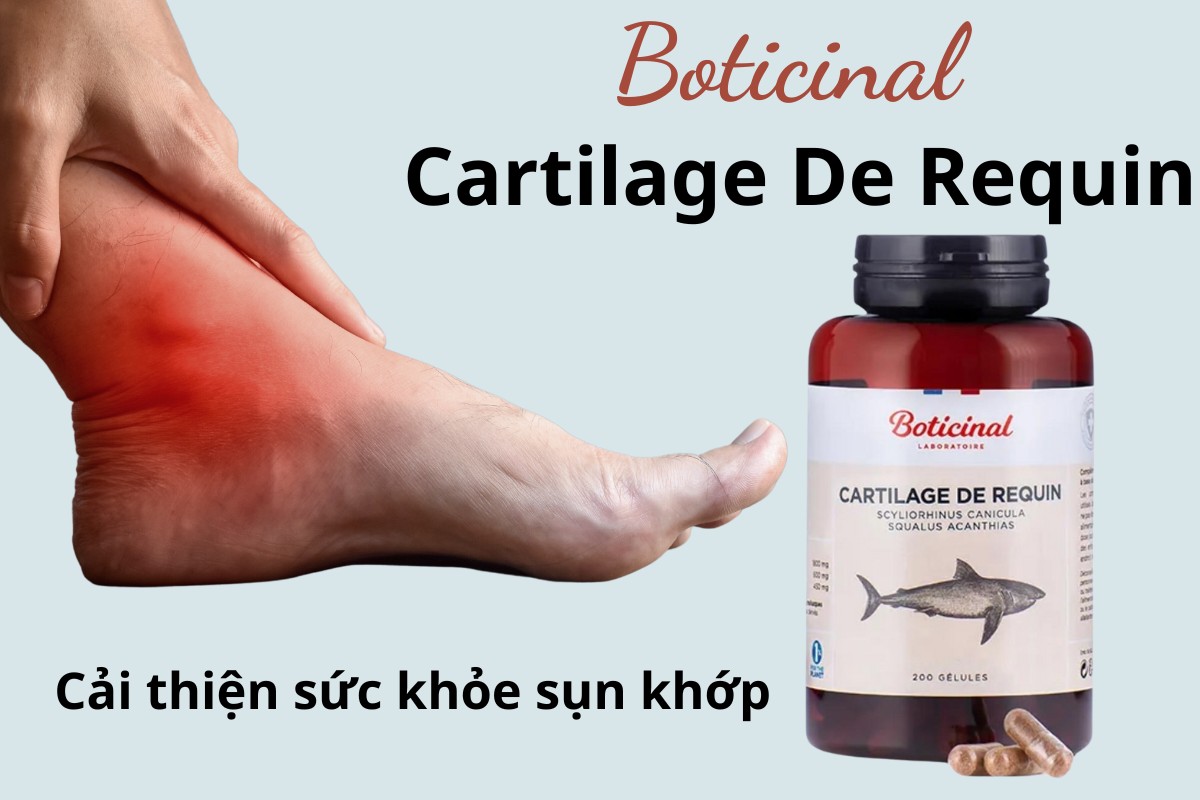 Boticinal Cartilage De Requin 11 Boticinal Cartilage De Requin cải thiện sức khỏe sụn khớp