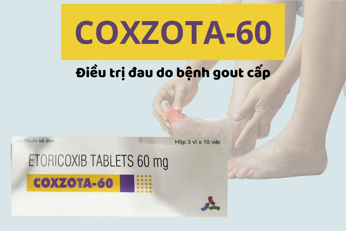 Coxzota-60 5 Coxzota-60 điều trị đau do bệnh gout cấp