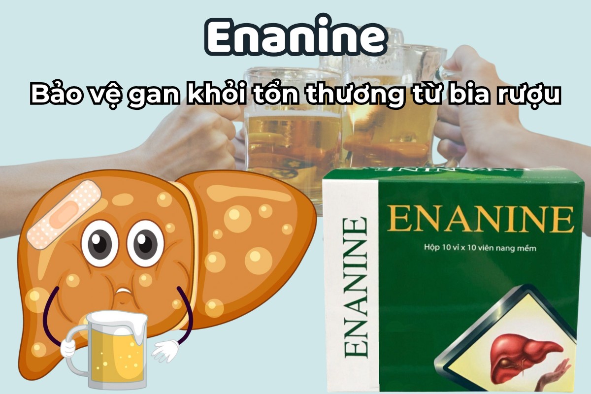 Enanine 8 Viên uống gan Enanine bảo vệ gan khỏi tổn thương từ bia rượu