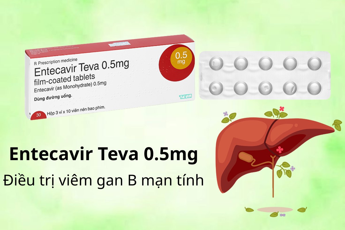 Entecavir Teva 0.5mg 10 Entecavir Teva 0.5mg điều trị viêm gan B mạn tính