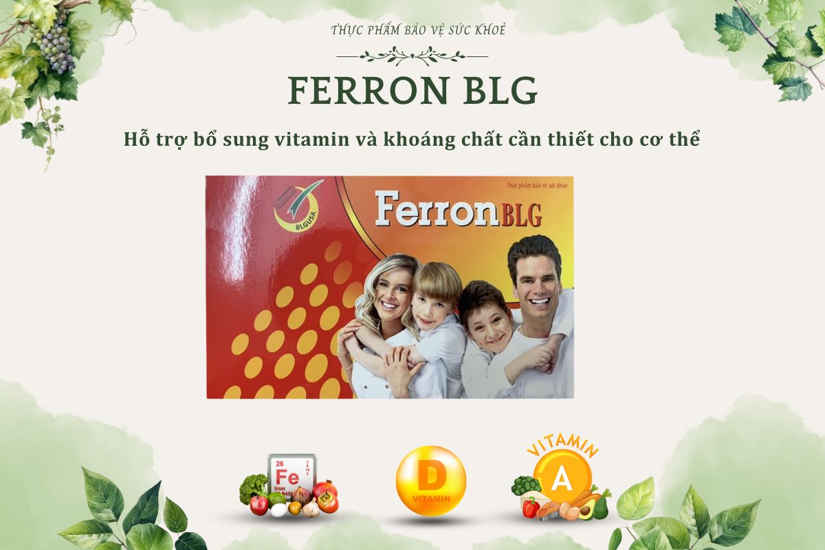 Ferron BLG 8 Ferron BLG