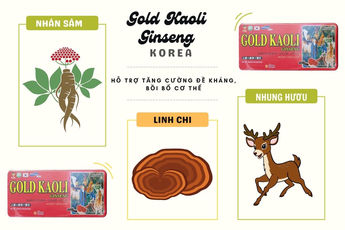 Gold Kaoli Ginseng 7 Gold Kaoli Ginseng