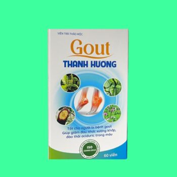gout thanh huong 9