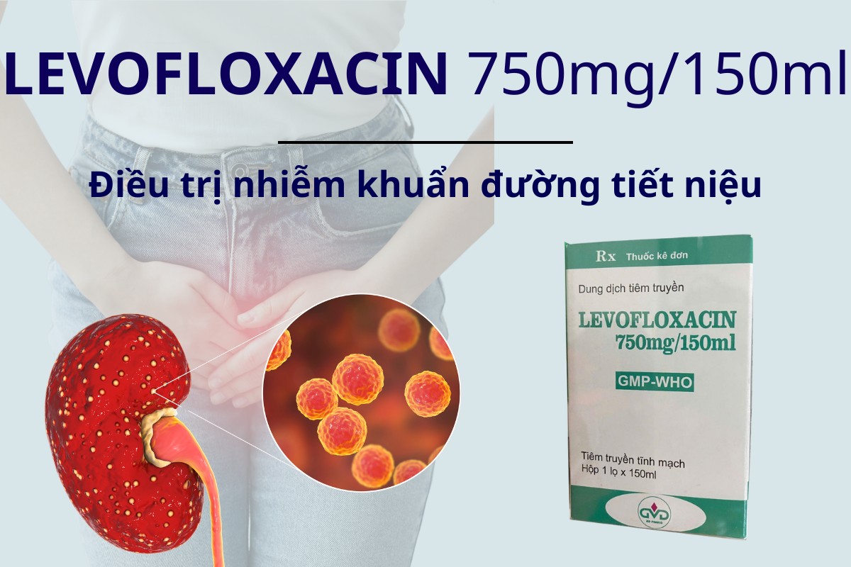 Levofloxacin 750mg/150ml Minh Dân 5 Levofloxacin 750mg/150ml Minh Dân điều trị nhiễm khuẩn đường tiết niệu