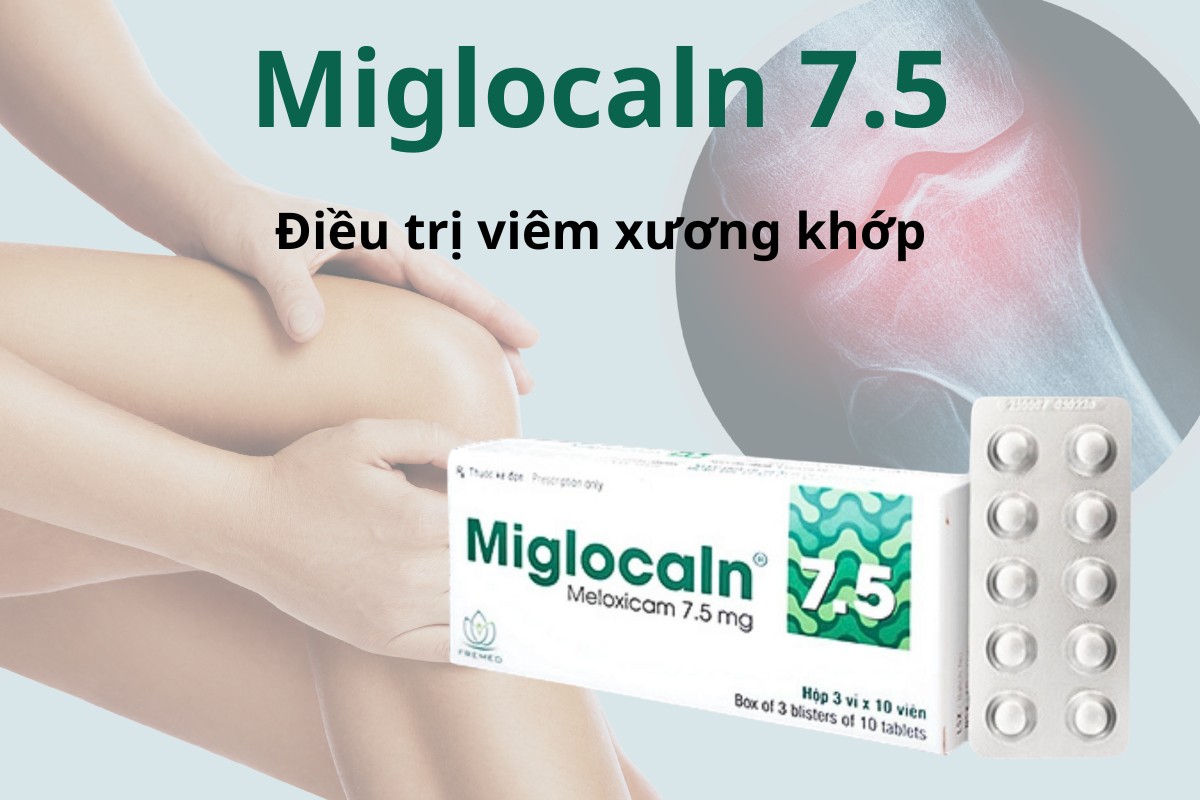 Miglocaln 7.5 7 Miglocaln 7.5 điều trị ngắn hạn đợt cấp viêm xương khớp