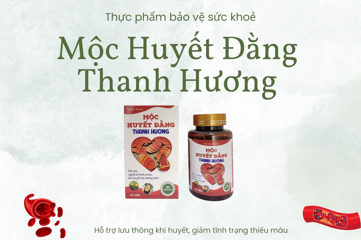 Mộc Huyết Đằng Thanh Hương 7 Mộc Huyết Đằng Thanh Hương