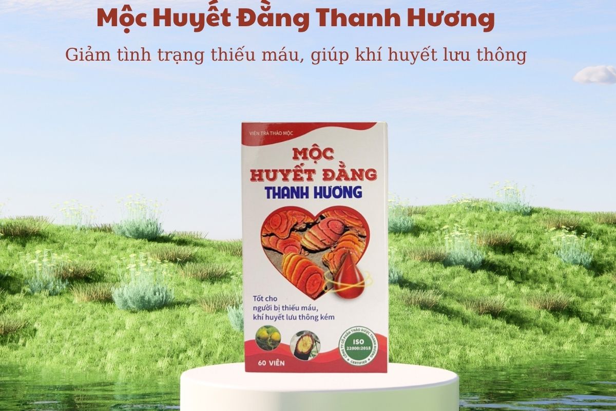 Mộc Huyết Đằng Thanh Hương 5 Mộc Huyết Đằng Thanh Hương
