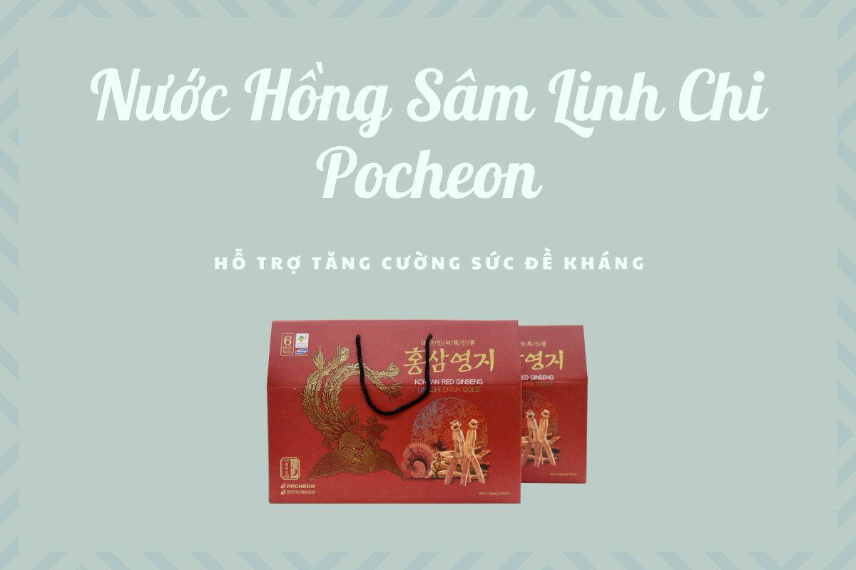 Nước Hồng Sâm Linh Chi Pocheon 10 Nước Hồng Sâm Linh Chi Pocheon