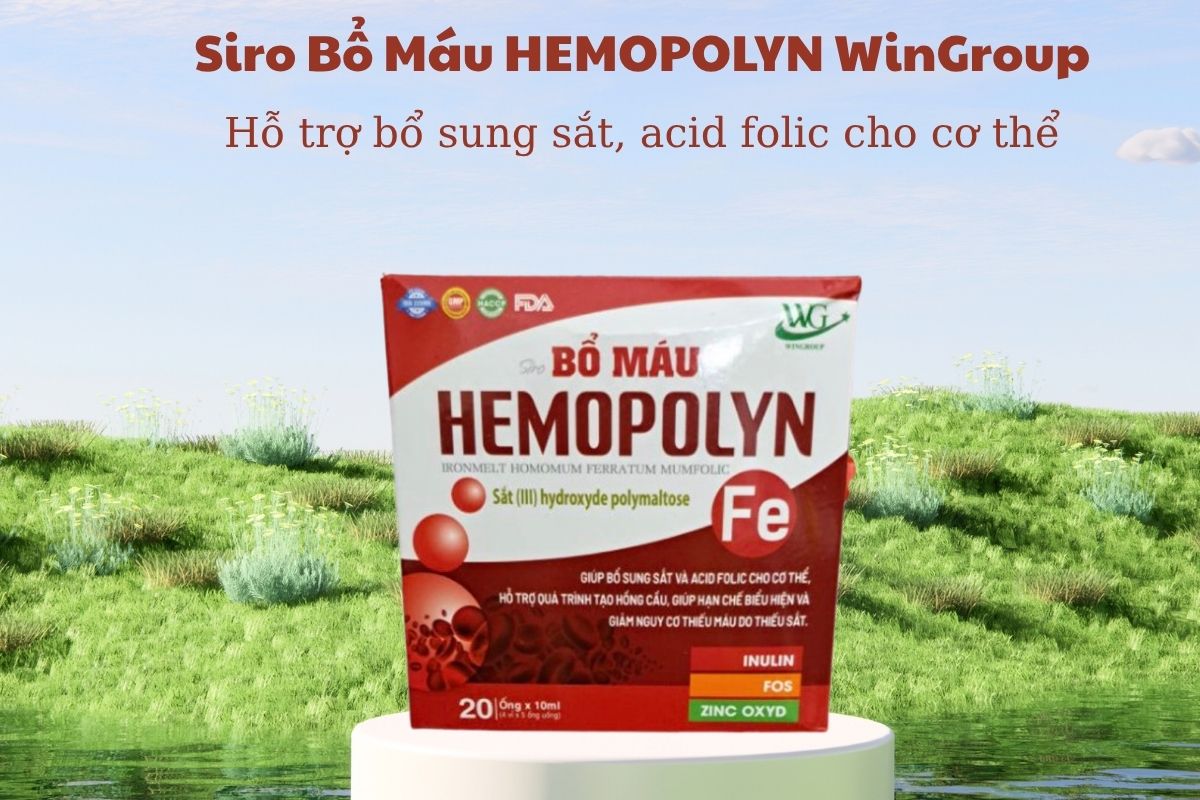 Siro Bổ Máu HEMOPOLYN WinGroup 5 Siro Bổ Máu HEMOPOLYN WinGroup