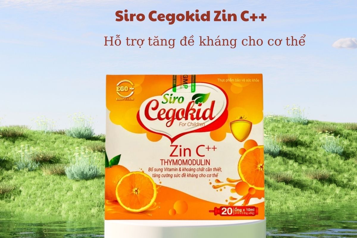 Siro Cegokid Zin C++ 5 Siro Cegokid Zin C++