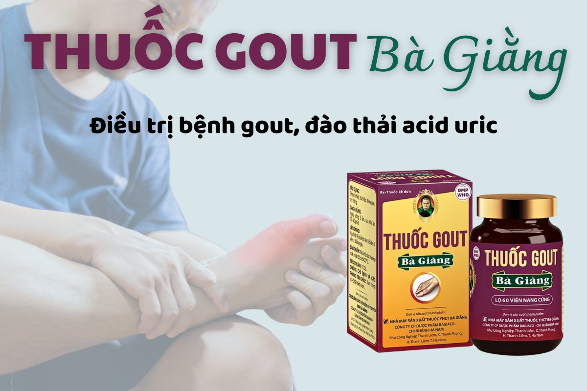 Thuốc Gout Bà Giằng 7 Thuốc Gout Bà Giằng điều trị bệnh gout và đào thải acid uric trong máu