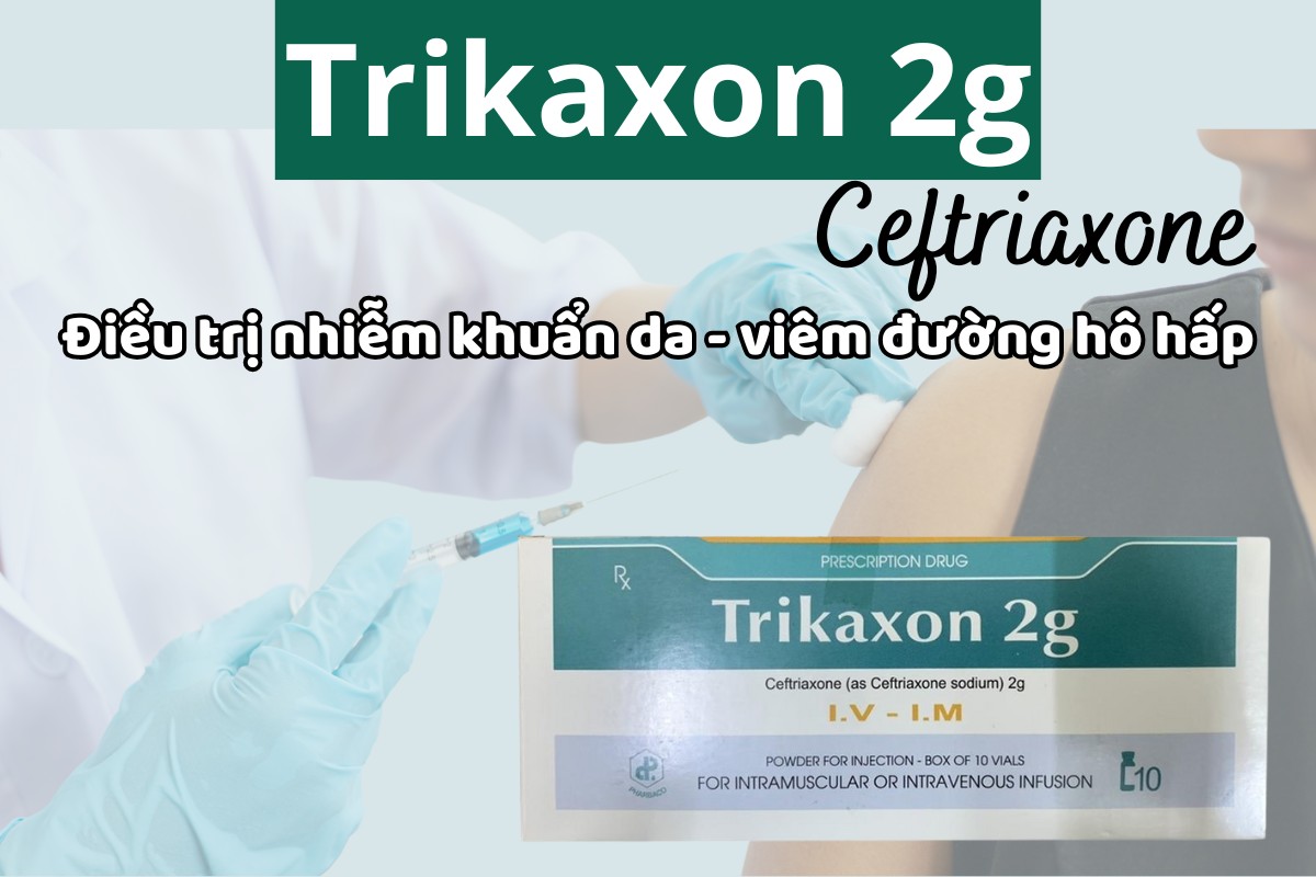 Trikaxon 2g điều trị nhiễm khuẩn da, mô mềm và viêm đường hô hấp