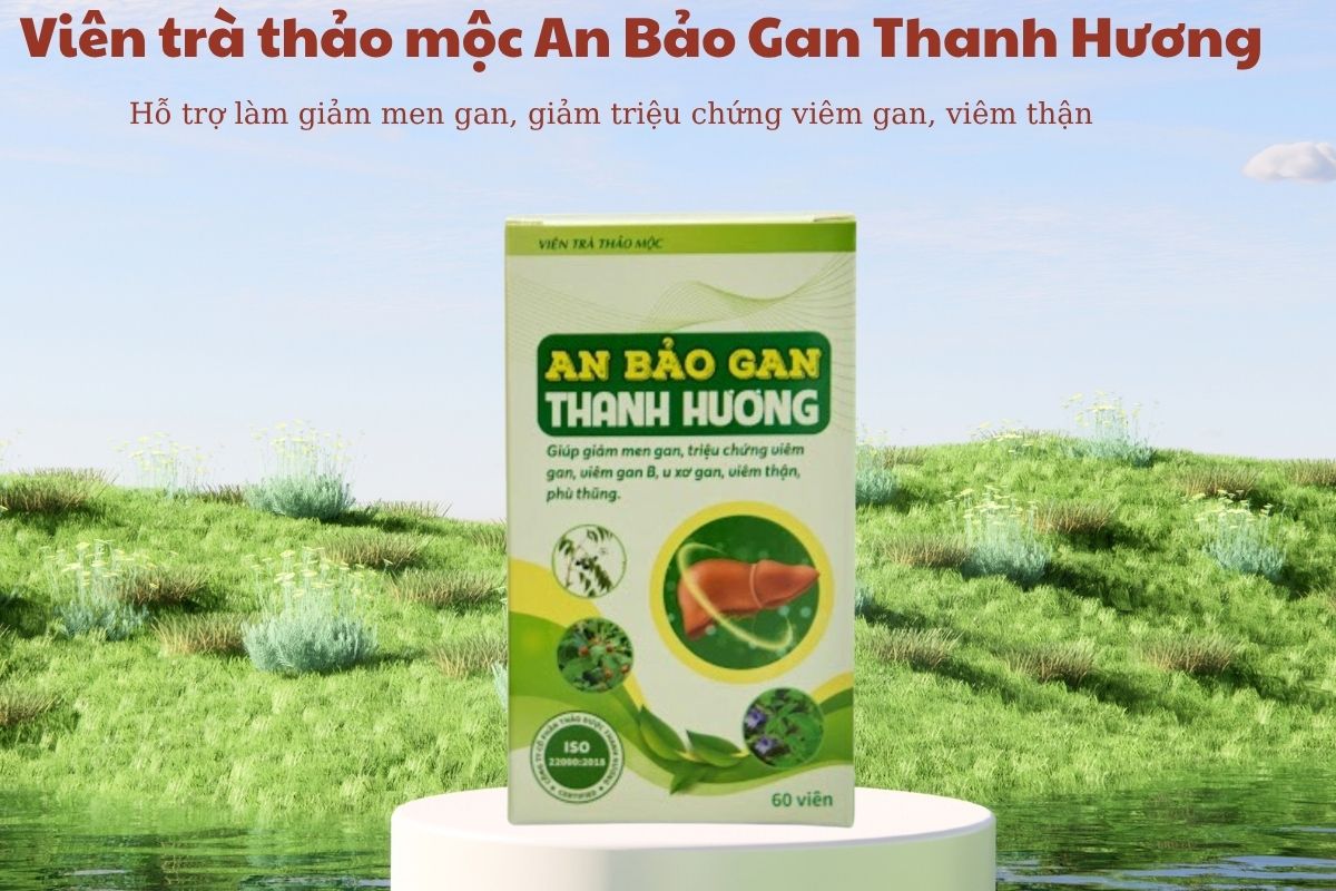 Viên trà thảo mộc An Bảo Gan Thanh Hương 5 Viên trà thảo mộc An Bảo Gan Thanh Hương