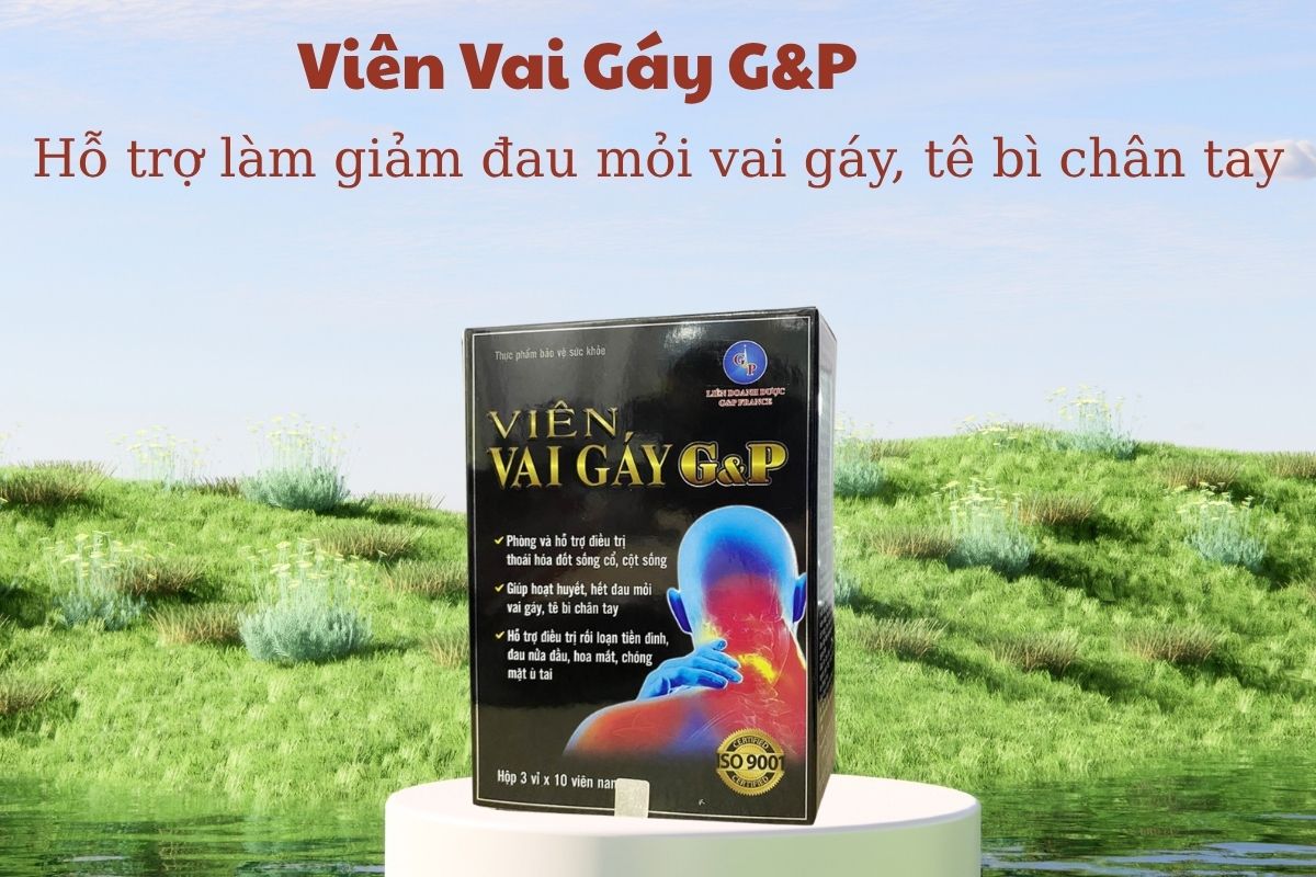 Viên Vai Gáy G&P 5 Viên Vai Gáy G&P