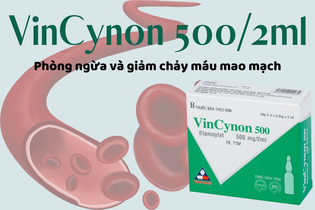 Vincynon 500mg/2ml phòng ngừa và giảm chảy máu mao mạch