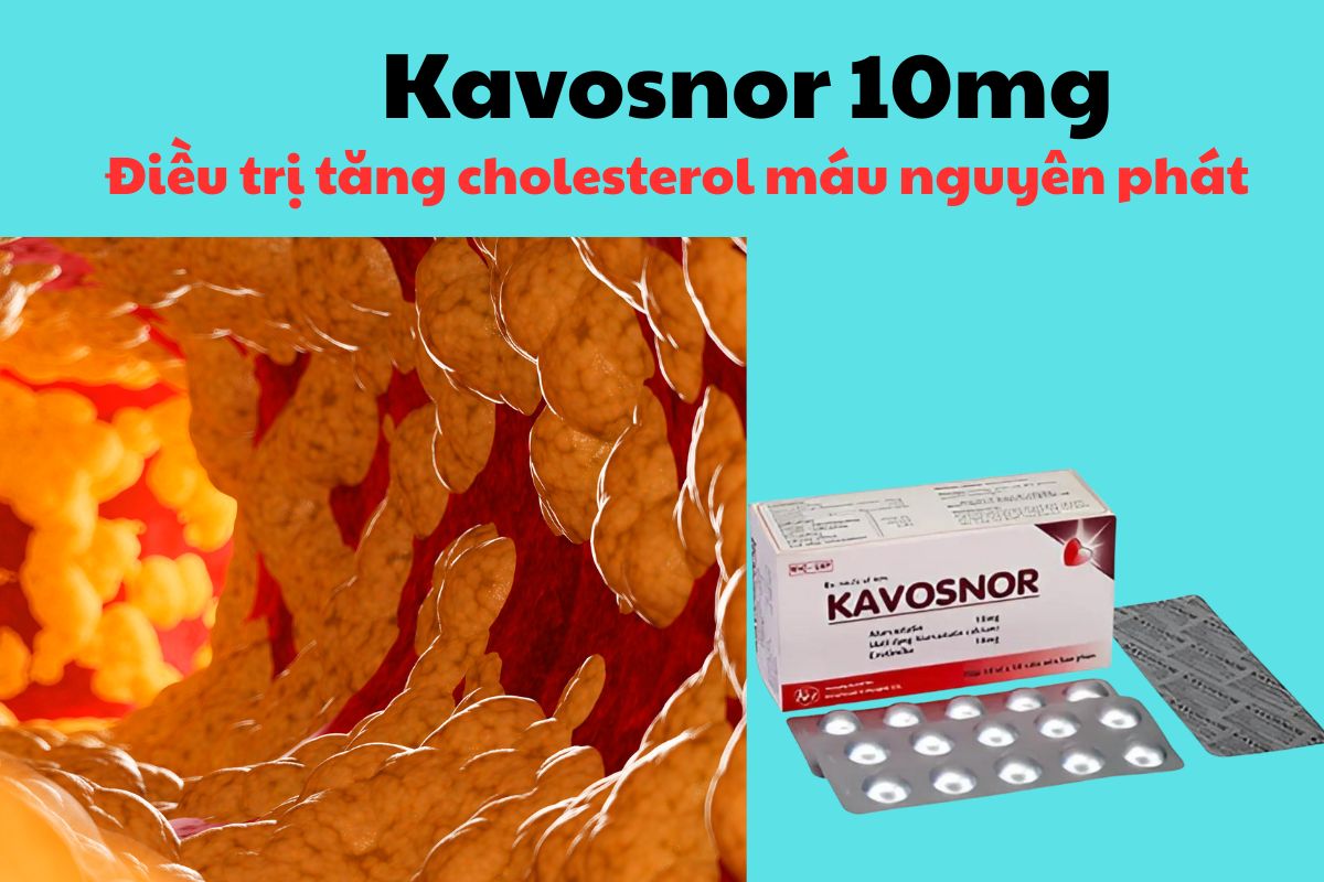 Kavosnor 10/10 6 Thuốc Kavosnor có tác dụng giảm cholesterol toàn phần, LDL-C, triglycerid và apolipoprotein B