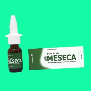 Meseca Fort