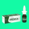Meseca Fort